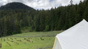 Comfort Tent, Patio, Mountain View | Property grounds