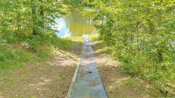 A narrow concrete pathway leading to a body of water, surrounded by dense greenery.