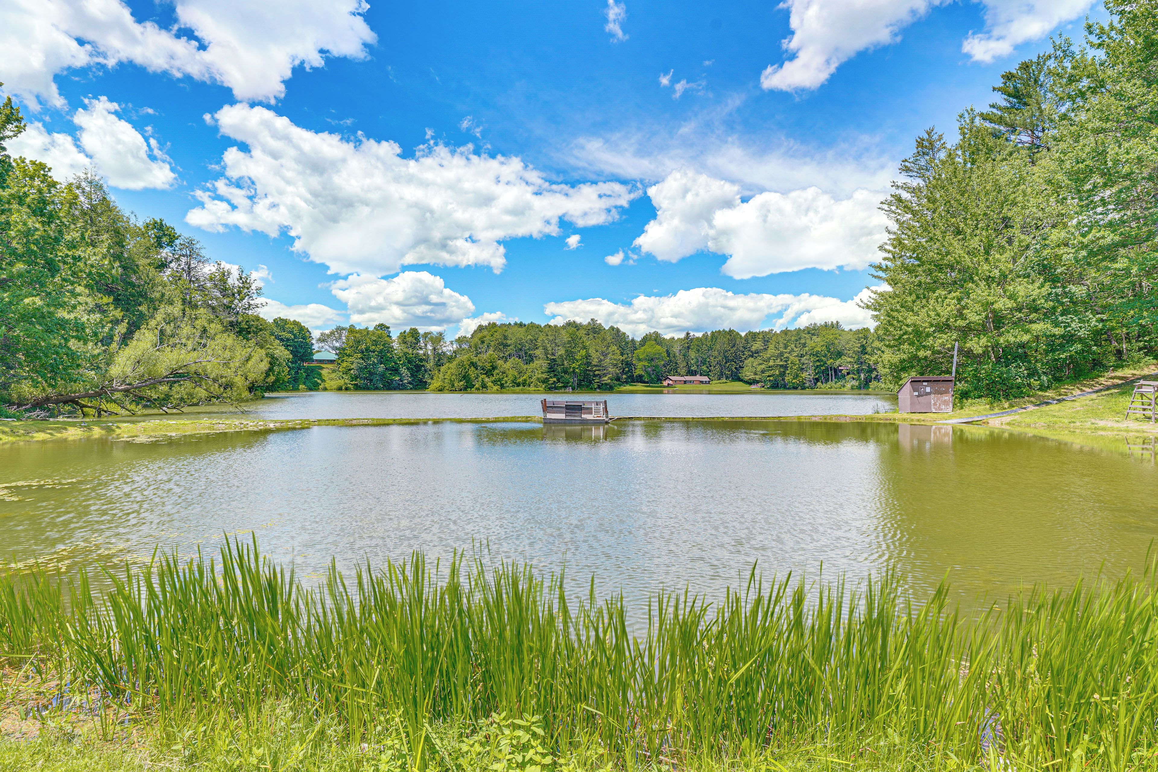 A tranquil lake surrounded by lush greenery and a clear blue sky.