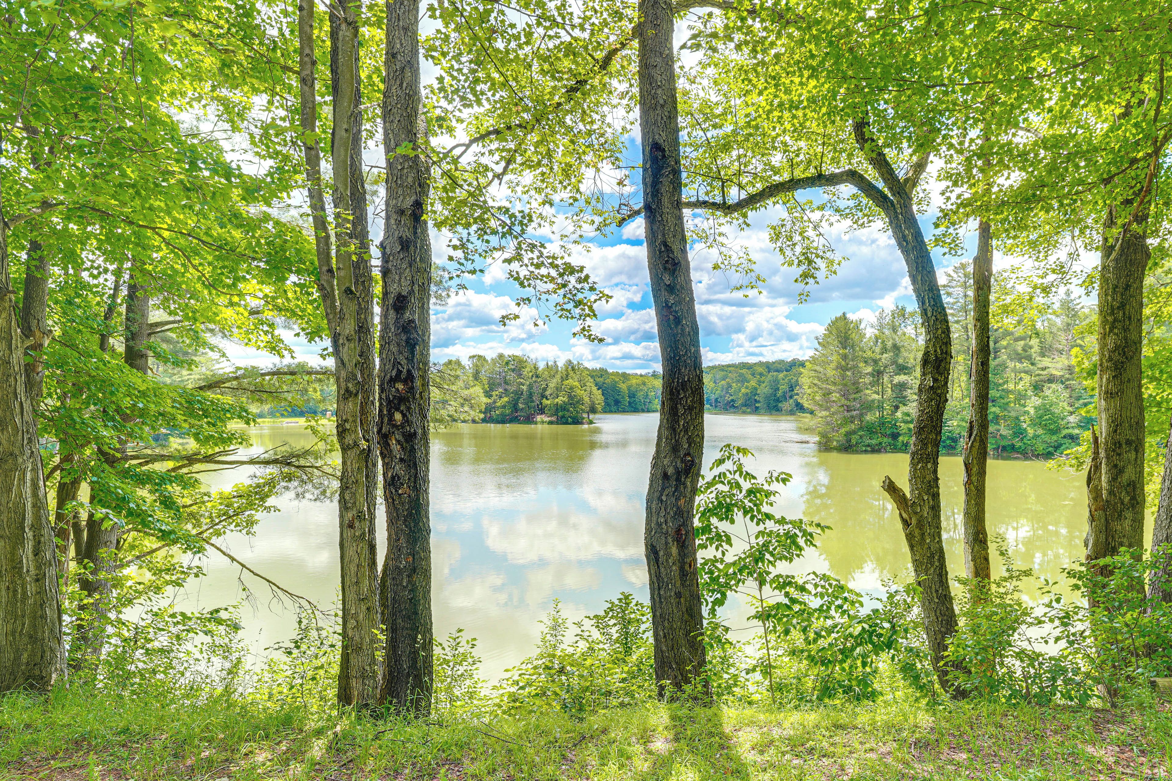 Un área boscosa con un lago tranquilo rodeado de altos árboles.