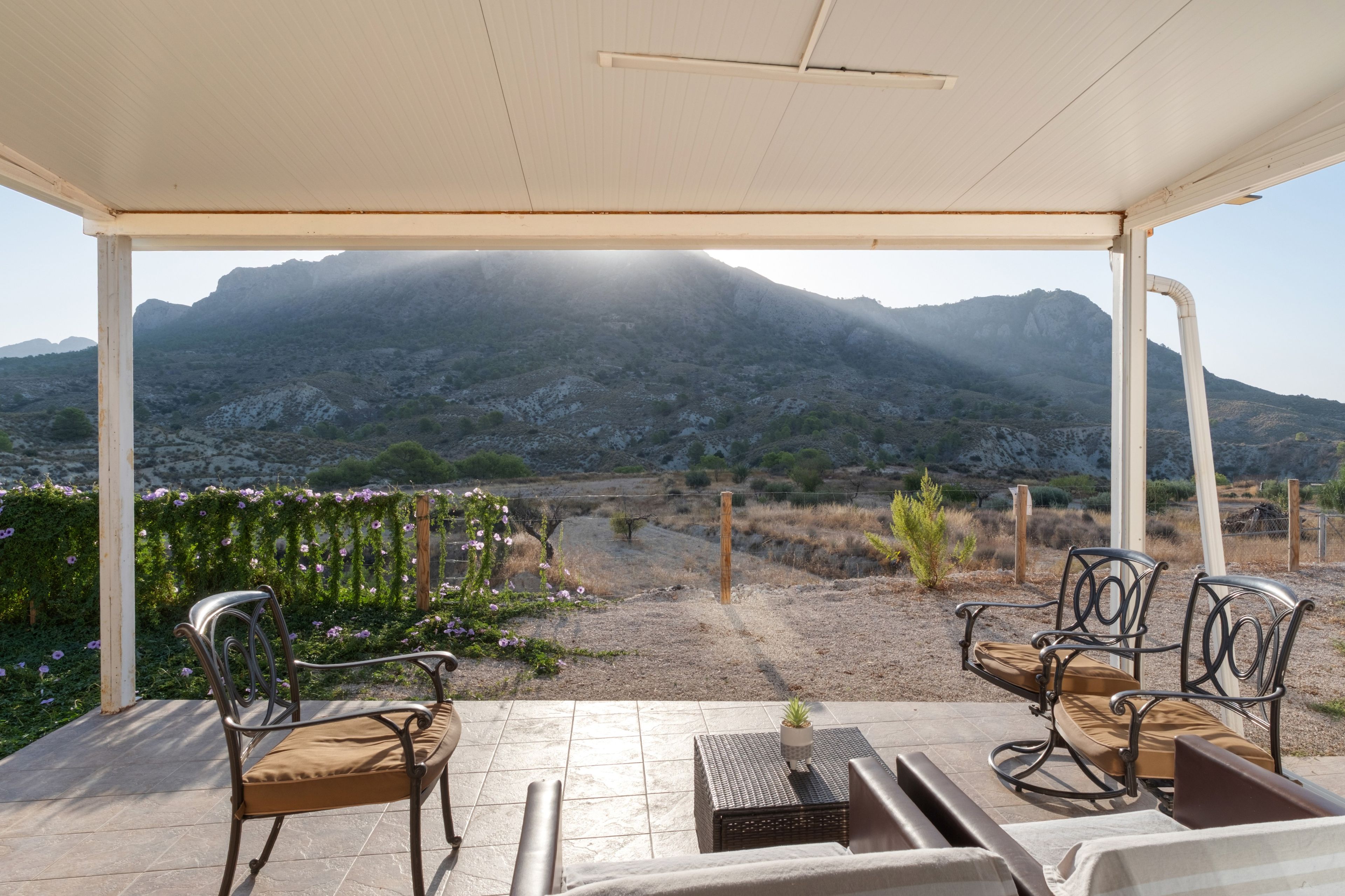 Eine überdachte Terrasse mit Gartenmöbeln, Blick auf eine gebirgige Landschaft und eine Pergola mit blühenden Weinranken.