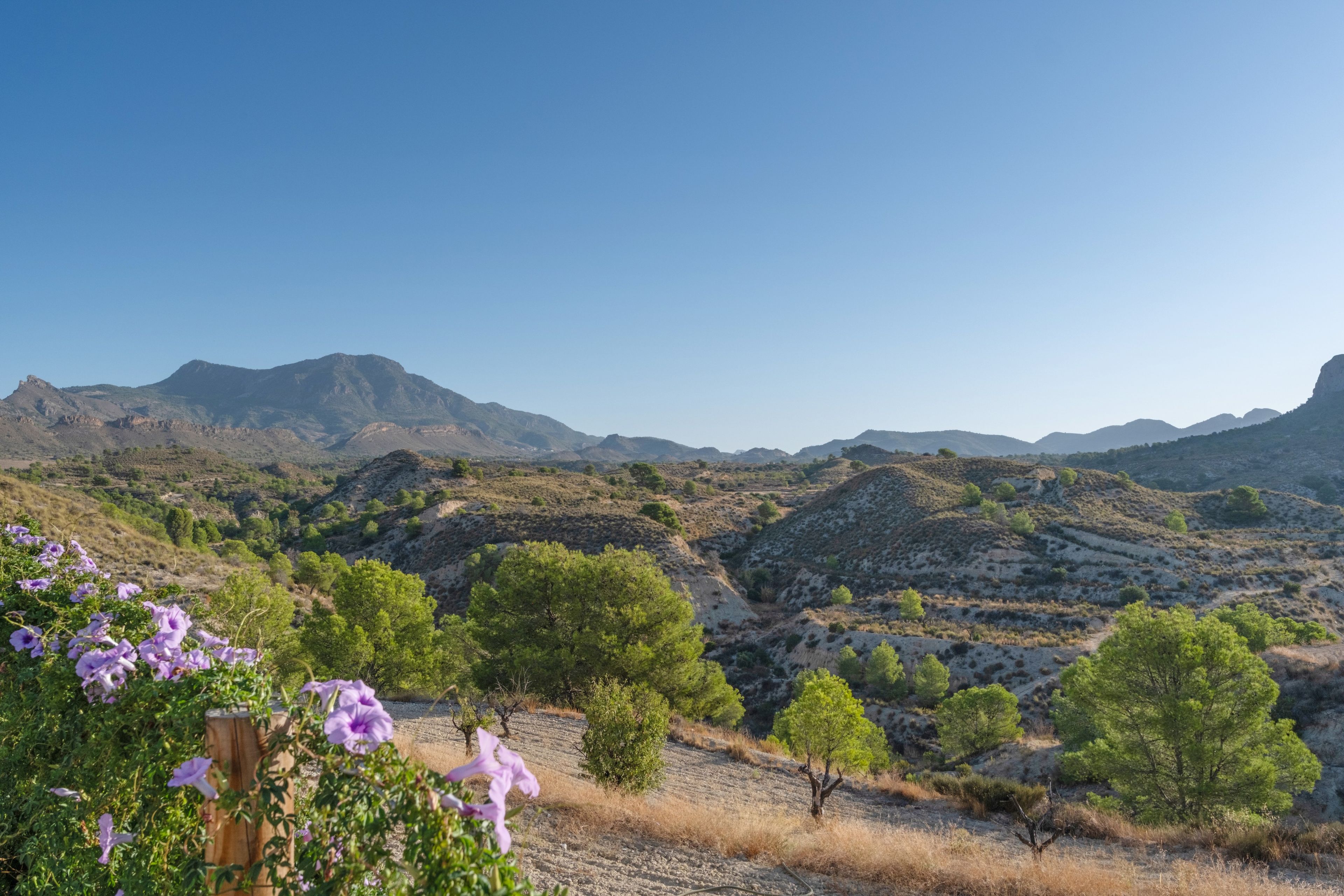 A mountainous landscape with sparse vegetation and a clear sky.