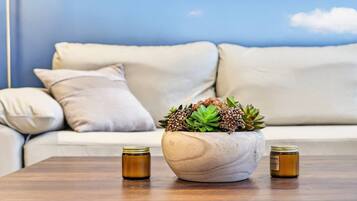 A room with a wooden table, a white sofa with cushions, and a large pot with succulents.
