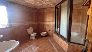 Shower, bidet, soap, toilet paper
