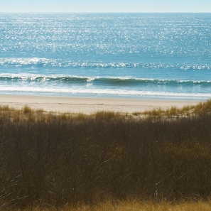 A beach with waves and grassy dunes.