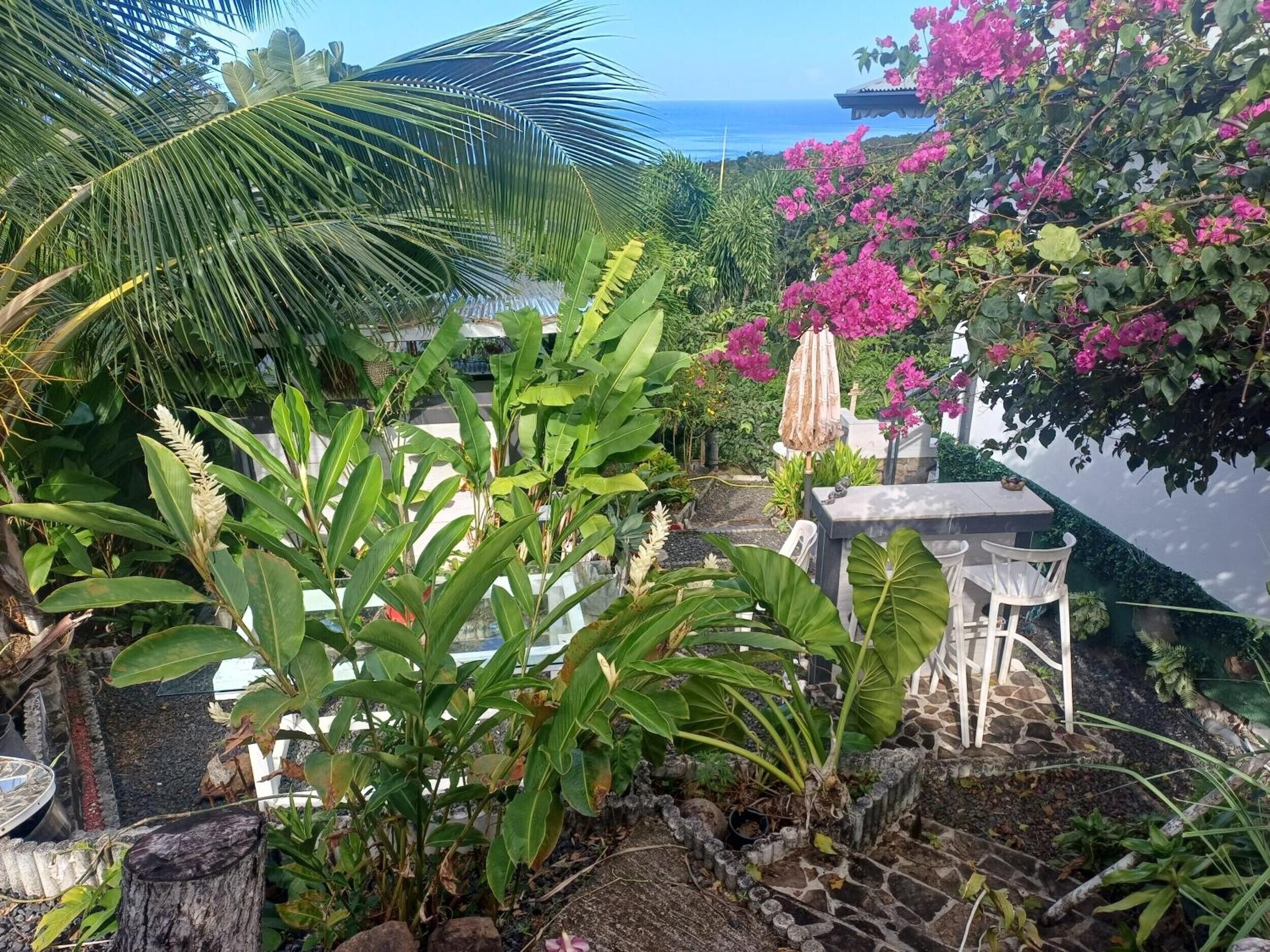 A garden with a stone table and chairs, surrounded by various plants and a view of the sea.
