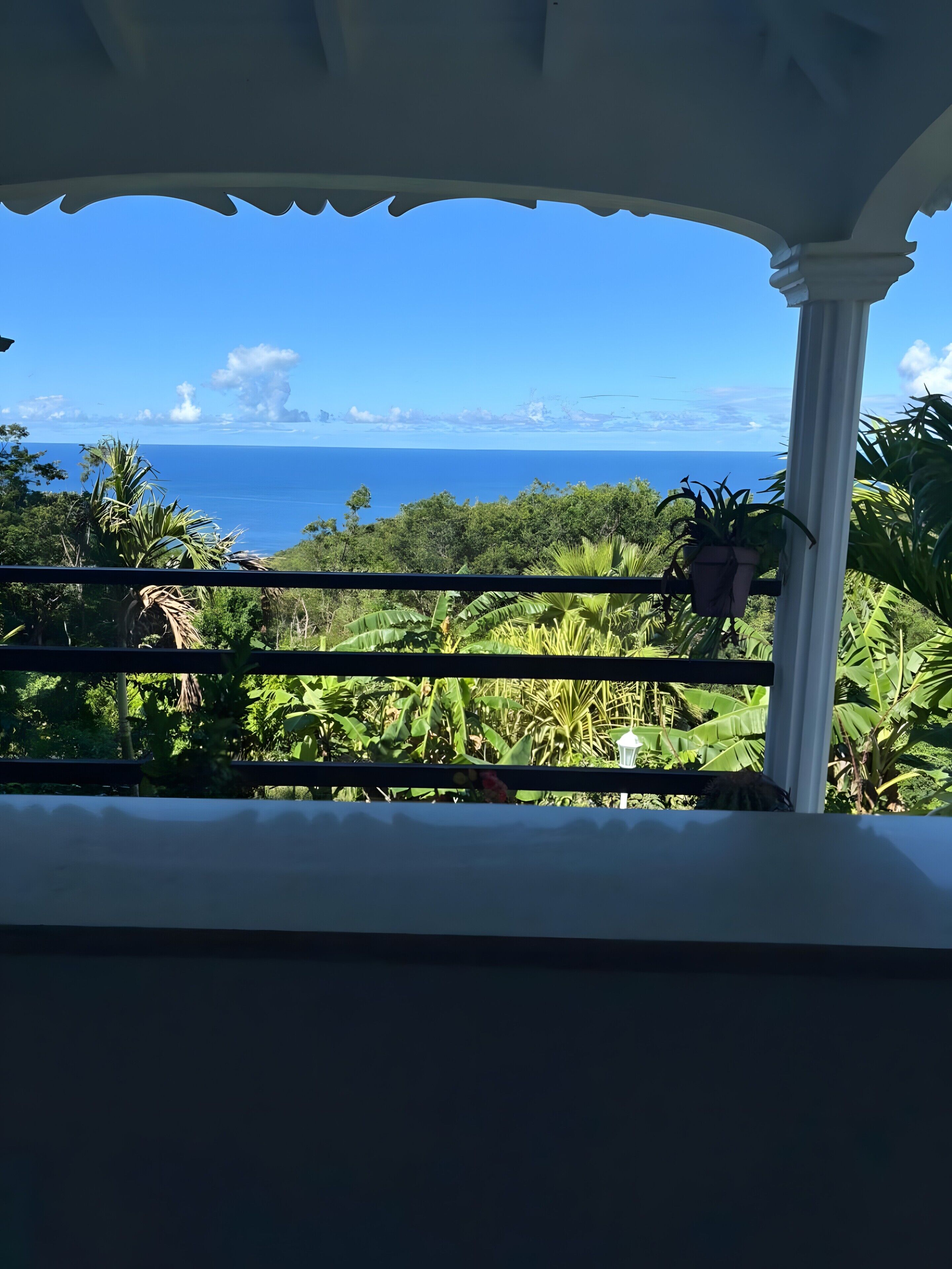 A balcony with a view of the ocean and lush greenery.