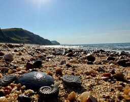 Una playa de guijarros con cielo despejado y colinas a lo lejos.