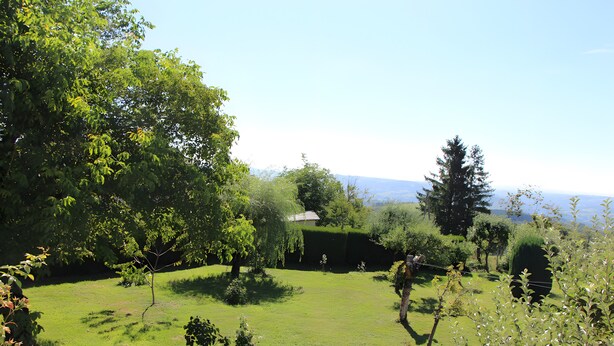 A lush green landscape with a variety of trees and a clear sky. - Bellevue Guest Rooms - Room 1 (Junhac)