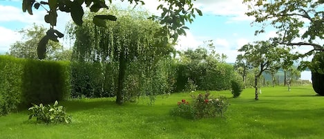 A well-maintained garden with a variety of trees, neatly trimmed hedges, and a grassy lawn.