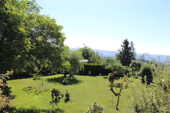 A lush green landscape with a variety of trees and a clear sky.
