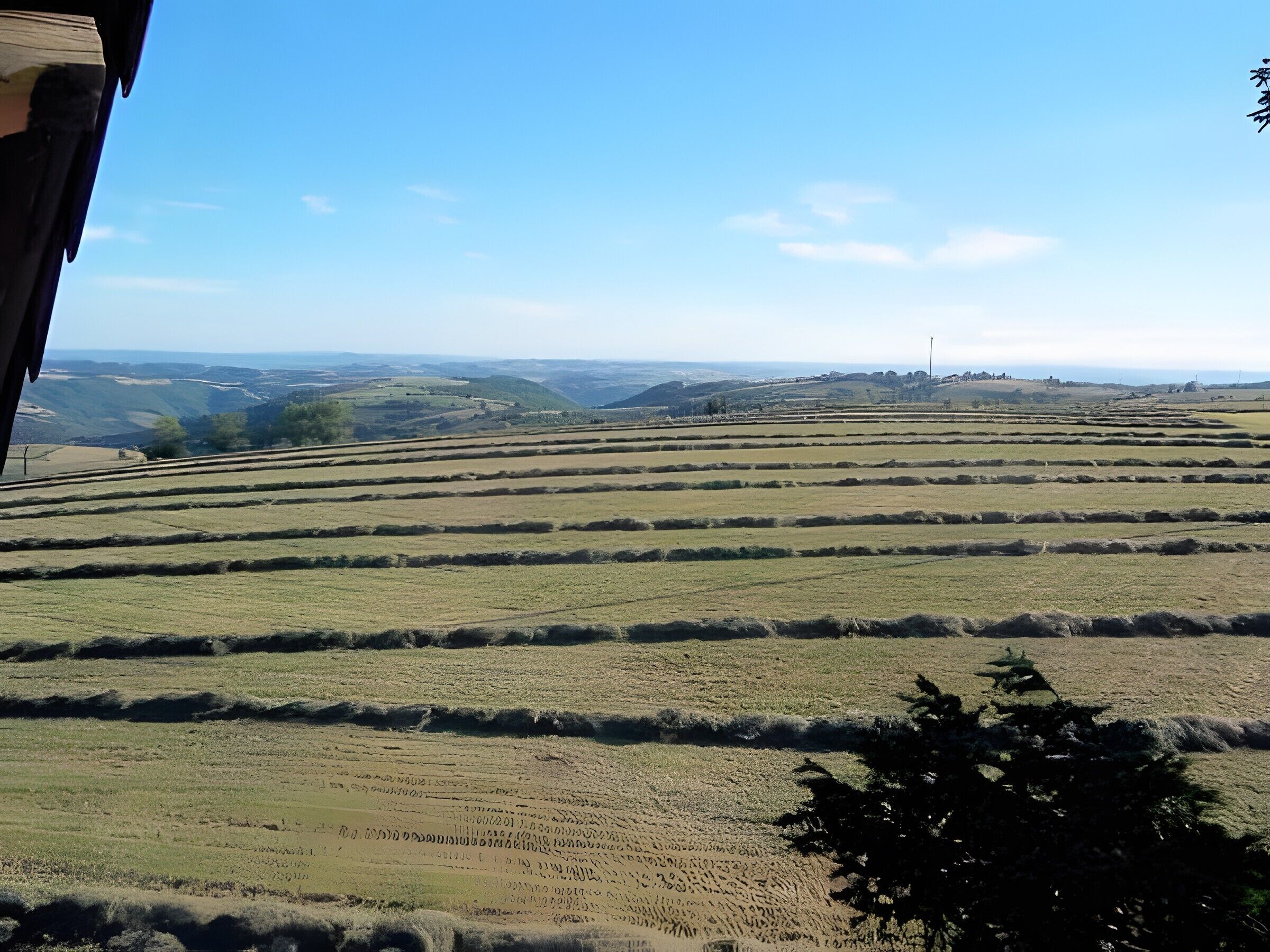 Terraced fields with a distant view of hills and a structure.