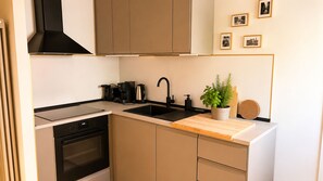 A compact kitchen with a built-in oven, a coffee maker, a sink, and a potted plant. - Dorsoduro Venice Loft by Venicescape (Venezia)