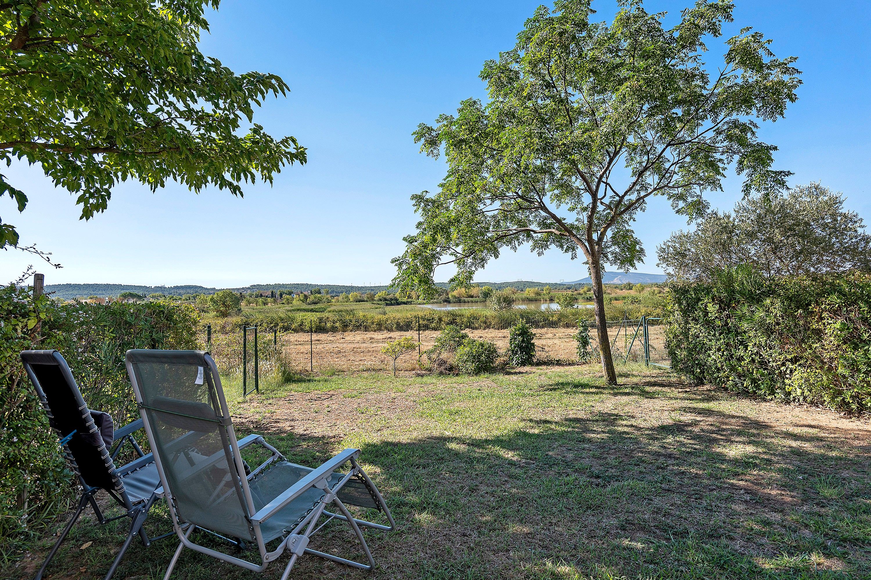 A chair in a grassy outdoor area with a tree and a view of a vineyard in the background.