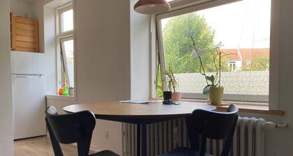 Quiet Apartment in Central Kolding – Walk to Shops & Restaurants