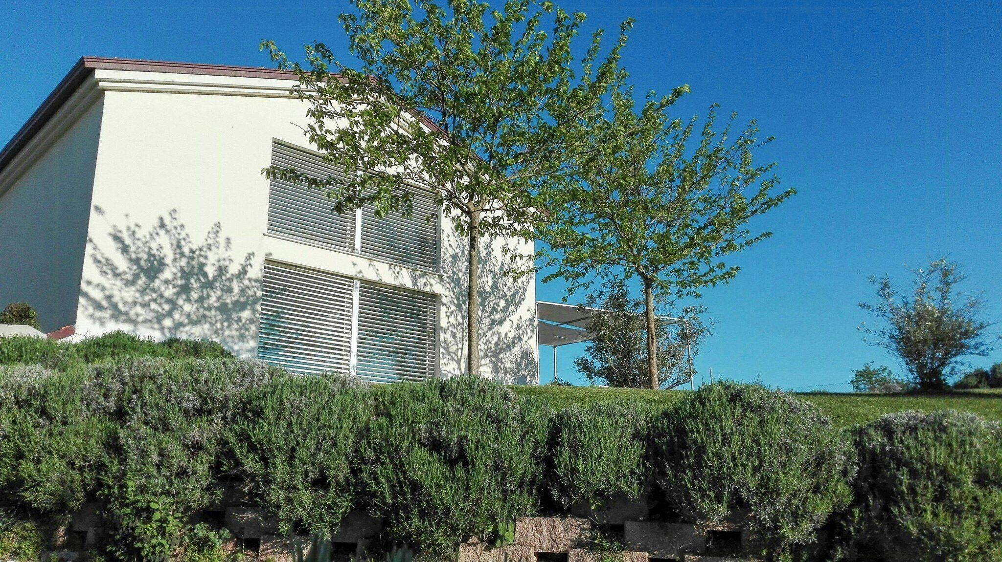 A modern two-story building with a flat roof, large windows, and a visible tree in the foreground.