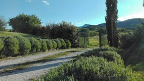 Un chemin de gravier traverse un espace paysager agrémenté de haies et d’arbres aux formes soigneusement taillées.