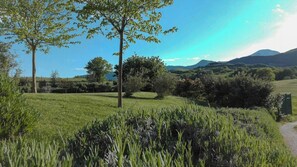 A grassy field with trees and a mountain in the background. - Wellness Retreat between Marche and Umbria (Sassoferrato)