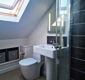 A modern bathroom with a skylight, a toilet, a sink, and a glass shower enclosure.