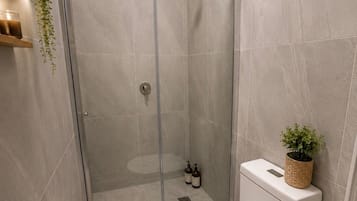 Shower, hair dryer (on request), towels, toilet paper
