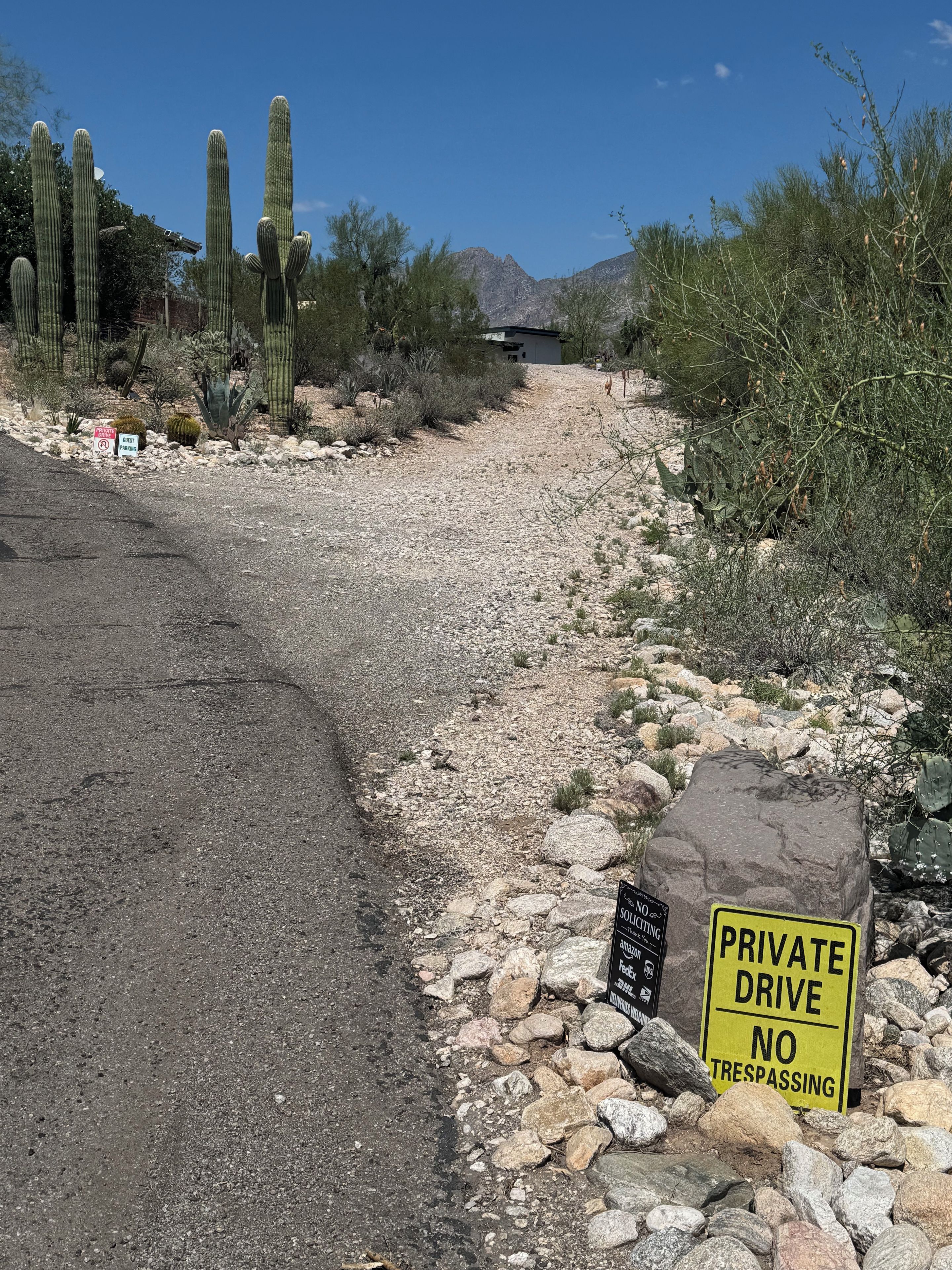 A private drive with a no trespassing sign, surrounded by desert vegetation and cacti.