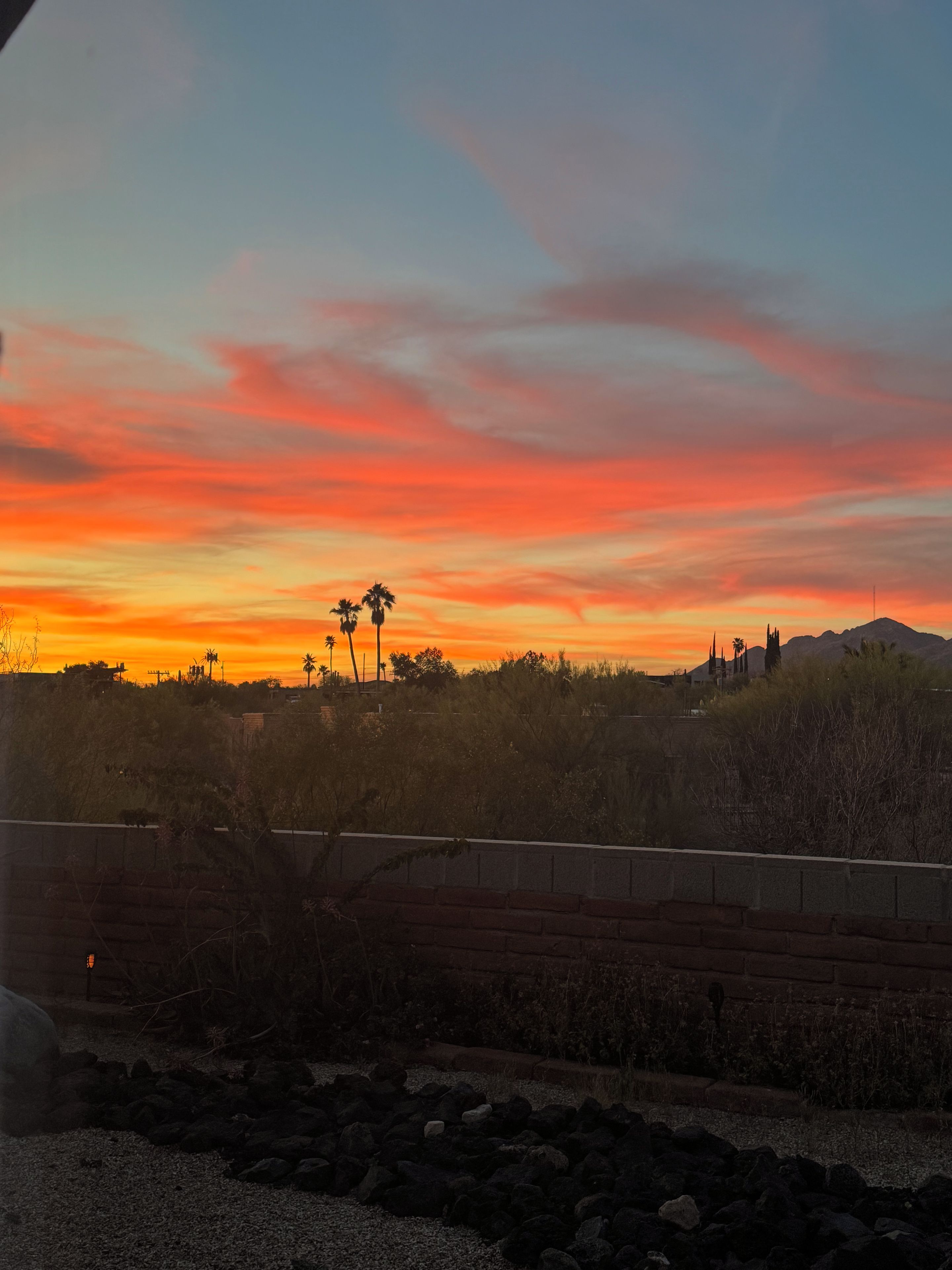 A sunset over a landscape with a clear sky, palm trees, and distant buildings.
