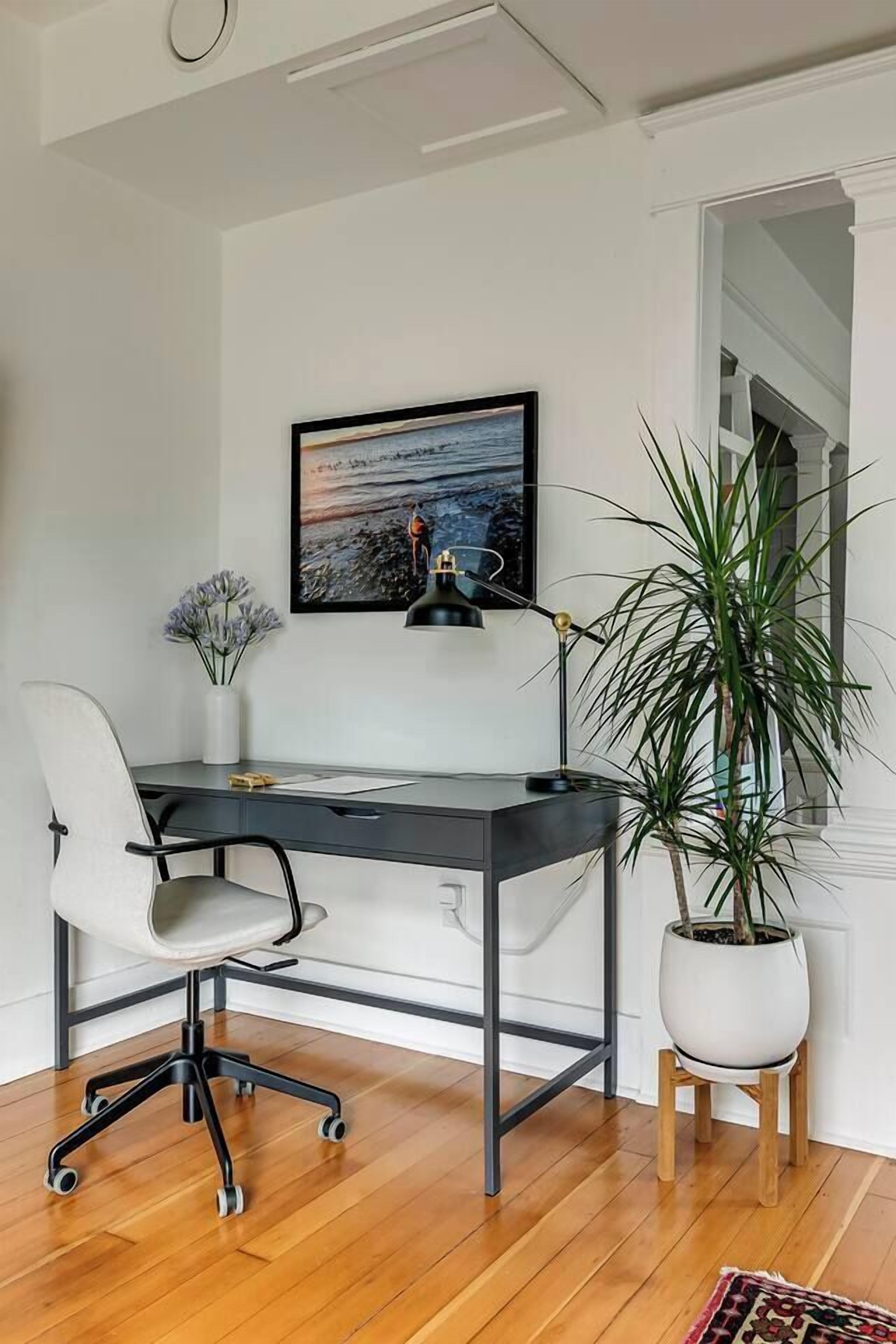 A modern office space with a desk, chair, and potted plant.