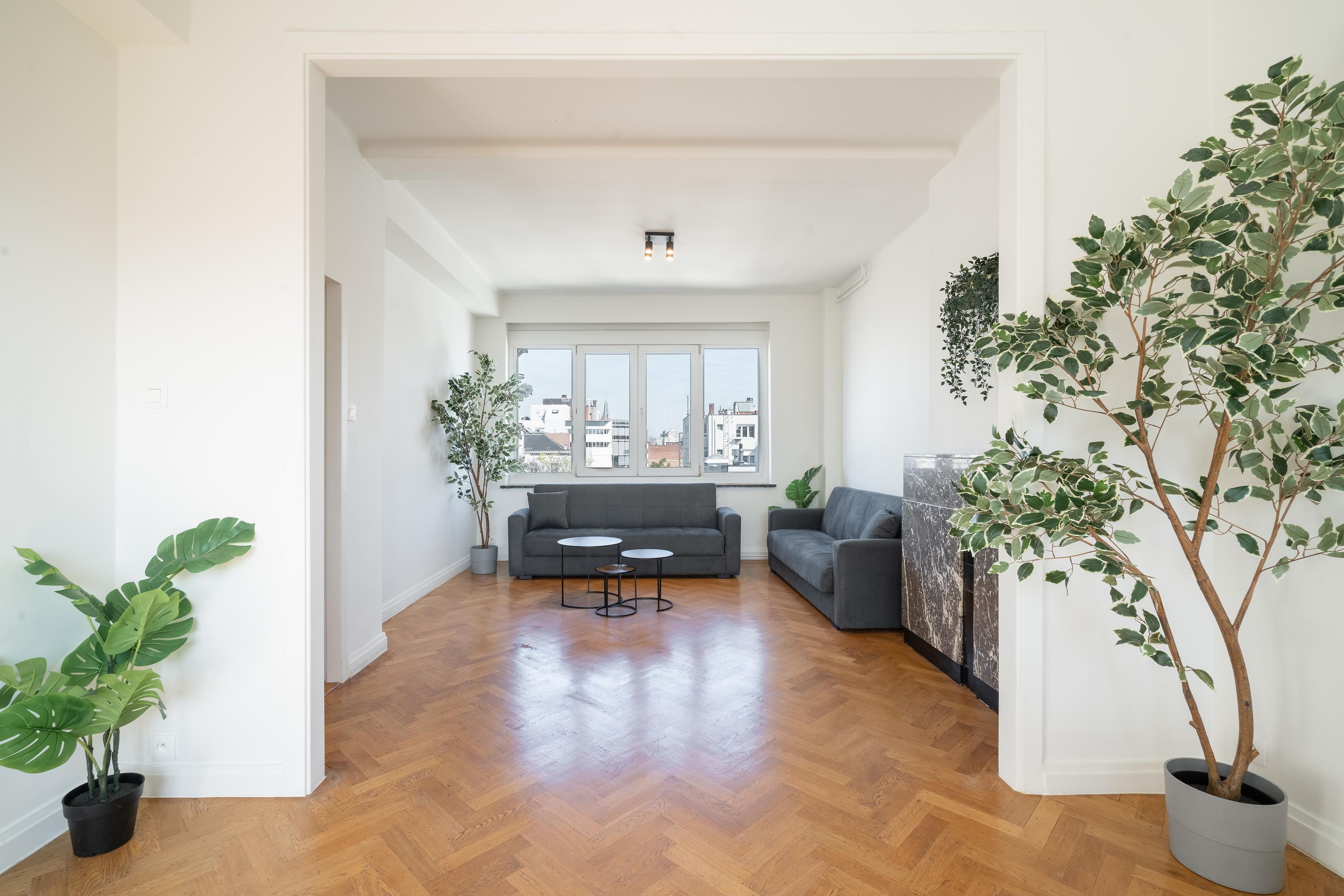 Un vaste espace de vie comprenant un canapé gris, une table basse et deux plantes en pot.