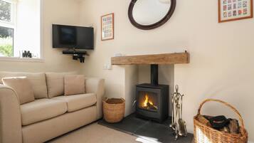 A living room with a sofa, a fireplace, a television, and a framed picture on the wall.