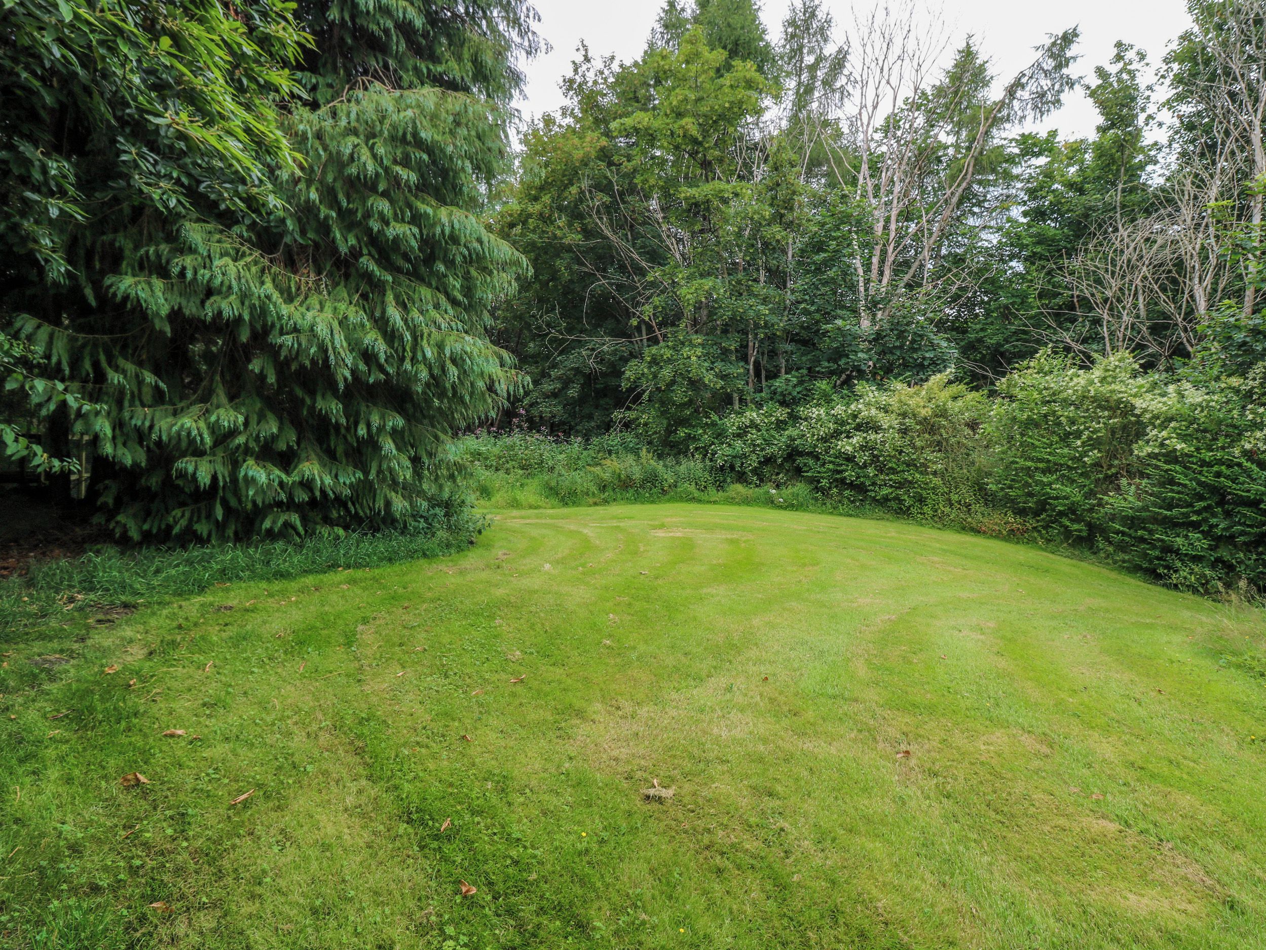 Une zone herbeuse avec des arbres et des arbustes, probablement un jardin ou un parc.