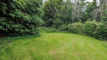 Une zone herbeuse avec des arbres et des arbustes, probablement un jardin ou un parc.