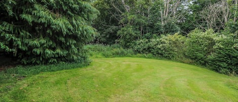Un espace extérieur verdoyant, avec de nombreux arbres et arbustes.