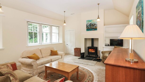 Una sala de estar con sofá, mesa de centro, chimenea y televisor.