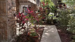 A pathway leading to a stone building with a sloped roof and a garden with various plants. - Wellington Polo Tranquility (Wellington)