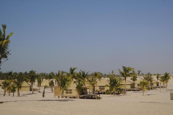 Un resort con varias cabañas, palmeras y una playa de arena.