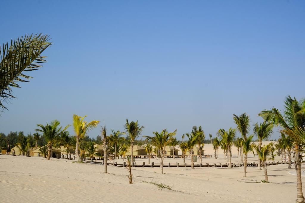 A beach with palm trees and beach huts.