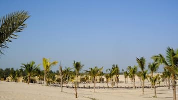 A beach with palm trees and beach huts.