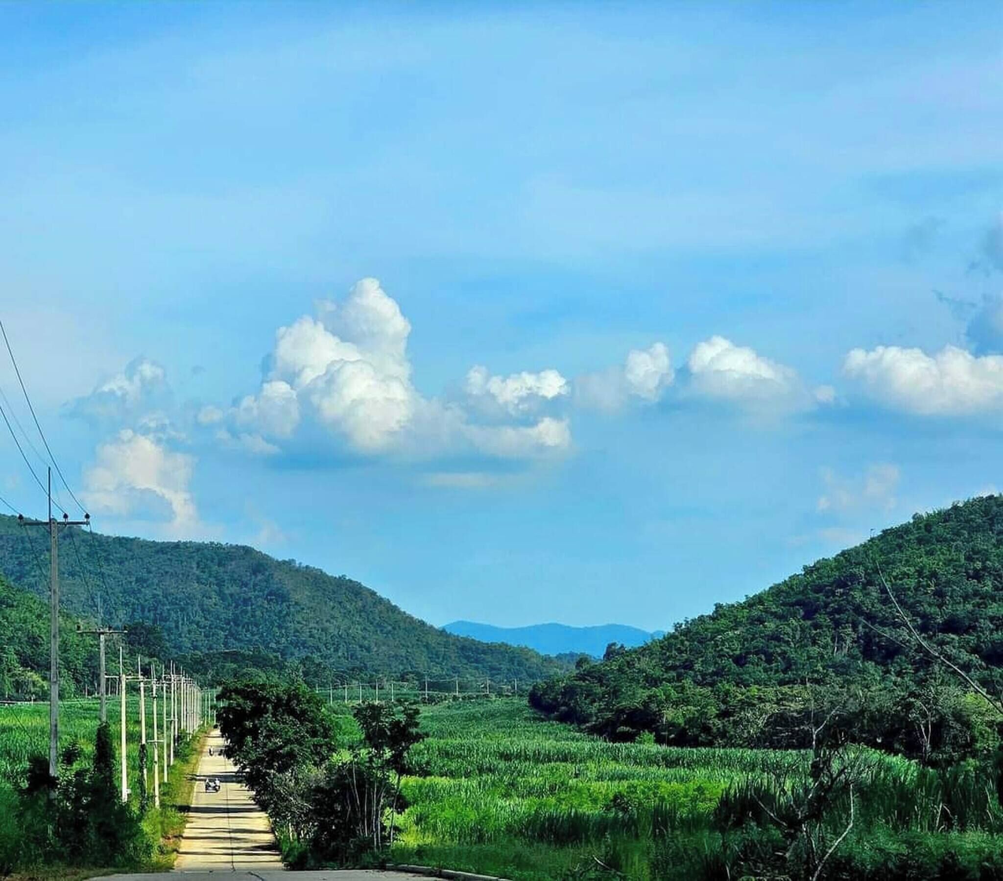 A rural road flanked by lush greenery and hills under a clear sky.