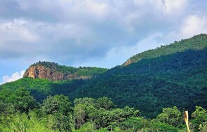 A mountainous landscape with dense green vegetation and a prominent rocky cliff. - Mountain Front Family Home Big Balcony For 4 Rare Birds, Bikes (Kaeng Krachan)