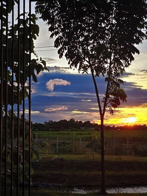 A rural landscape with a tree in the foreground and a sunset in the background. - Mountain Front Family Home Big Balcony For 4 Rare Birds, Bikes (Kaeng Krachan)