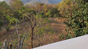 A natural landscape with trees and a mountain in the background. - Mountain Front Family Home Big Balcony For 4 Rare Birds, Bikes (Kaeng Krachan)