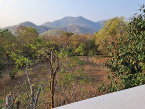A natural landscape with trees and a mountain in the background.