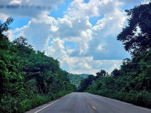 Carretera bordeada por abundante vegetación verde bajo un cielo parcialmente nublado.