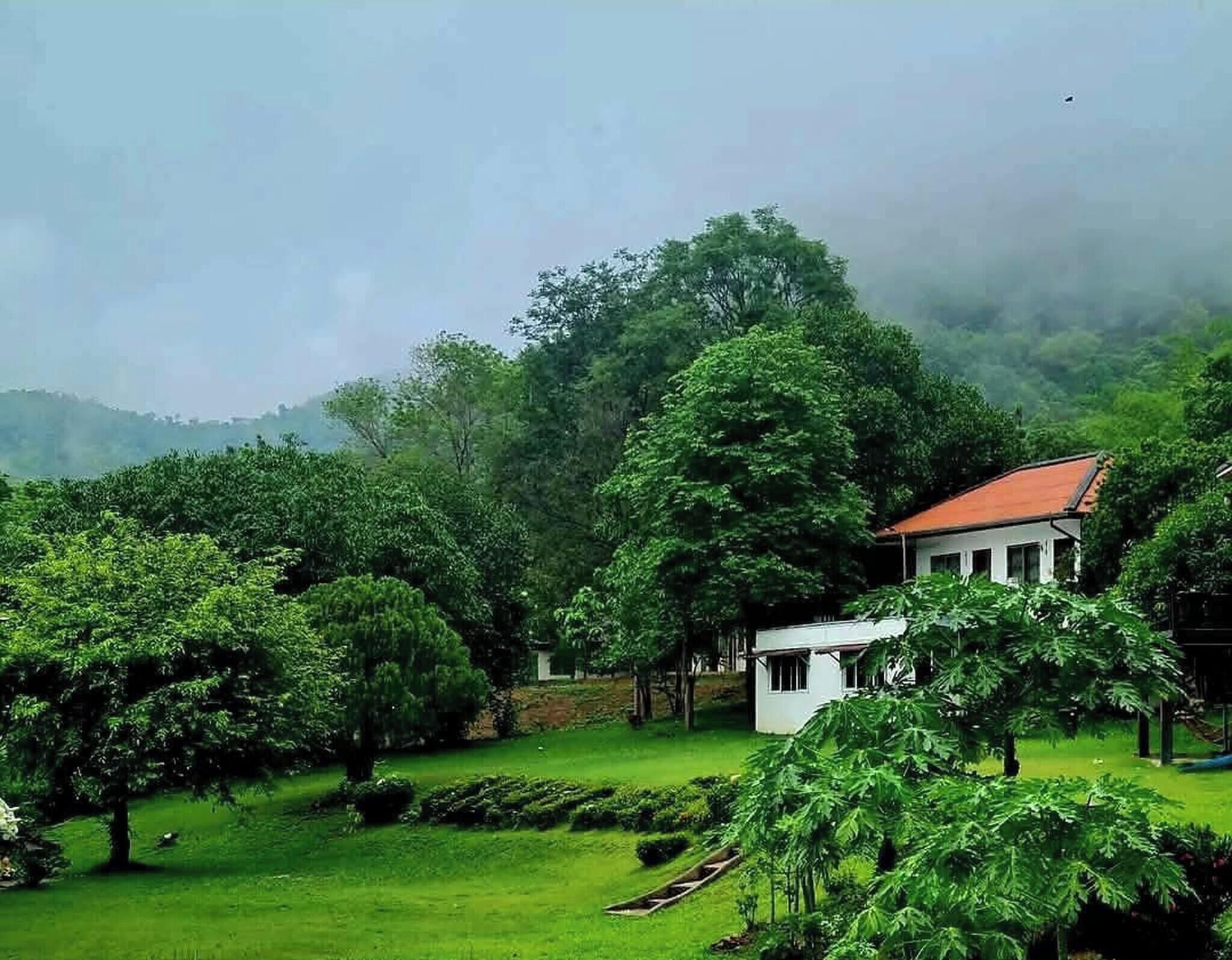 A house surrounded by lush greenery and trees.