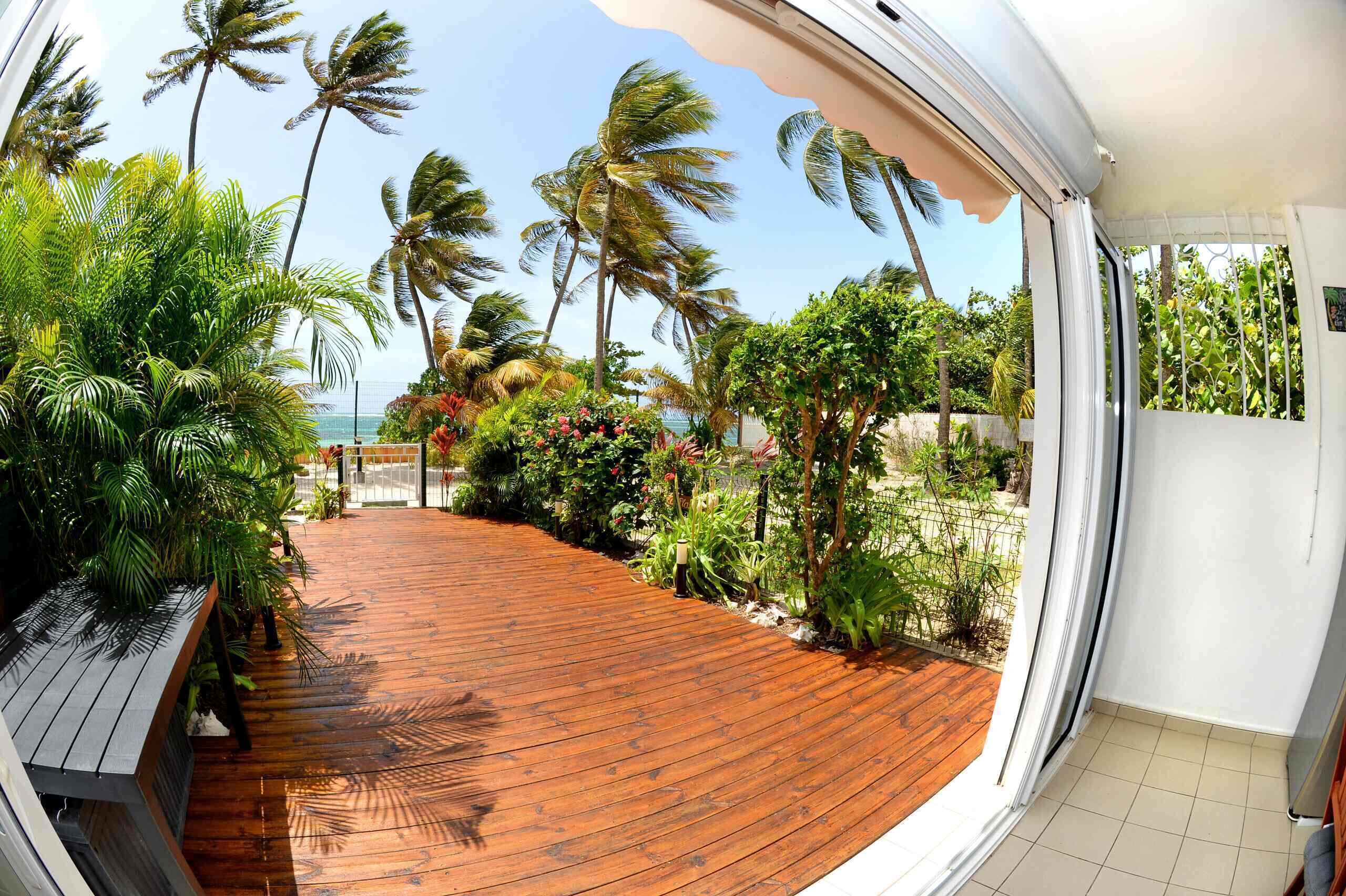 A wooden deck with a view of palm trees and a beach.