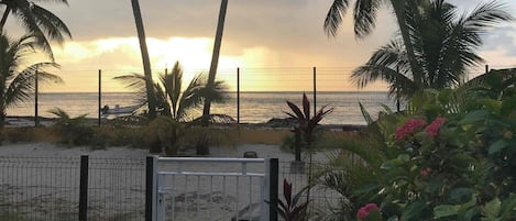 A beach view with a fence, palm trees, and a gate leading to the beach.