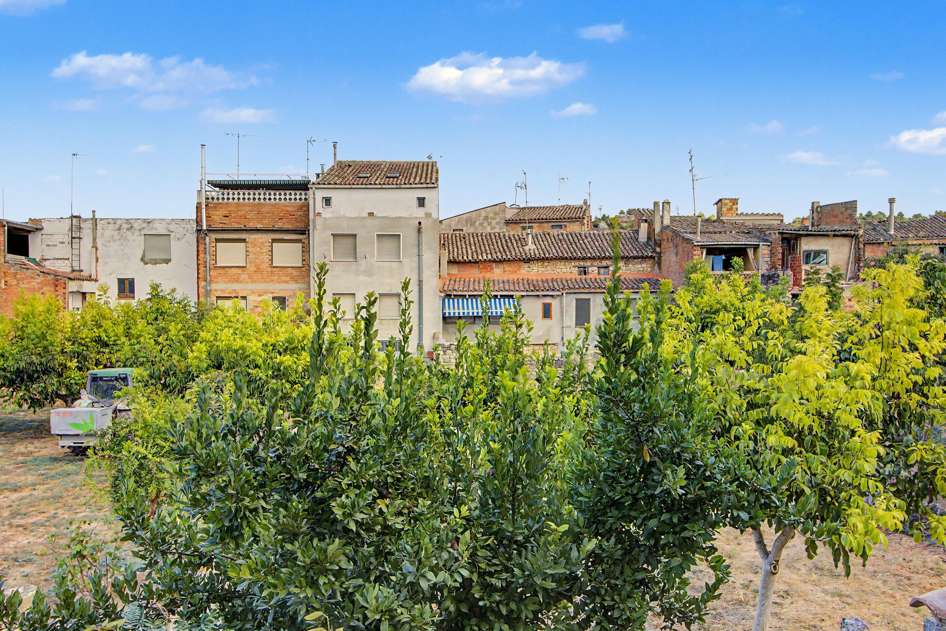 Un quartier résidentiel avec des immeubles, un véhicule garé et un vignoble.