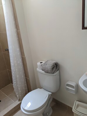 A bathroom with a toilet, a roll of toilet paper, a towel, a shower curtain, and a sink.