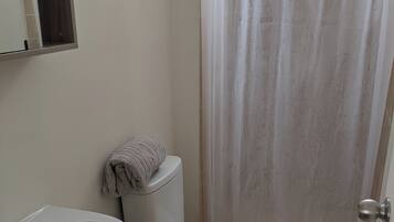 Serviettes fournies, savon, papier toilette