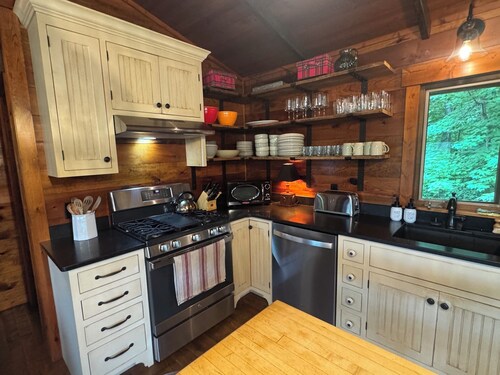 Quintessential Lake Cabin - Pontoon boat included!